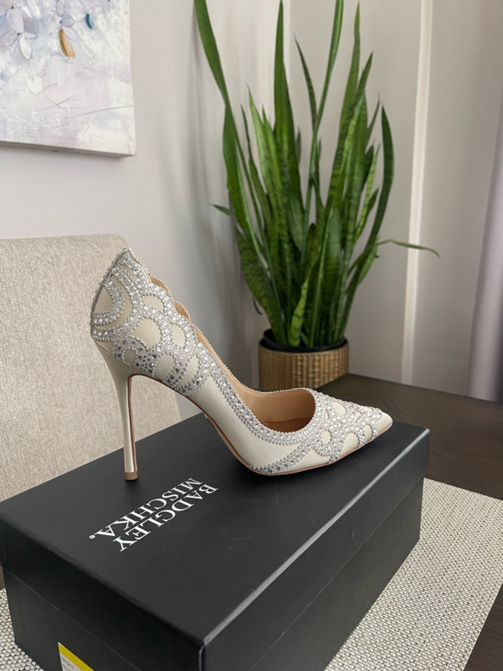 Badgley Mischka Ivory Crystal-Embellished Pointed Pump